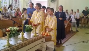 WP_20160821_11_11_37_Pro